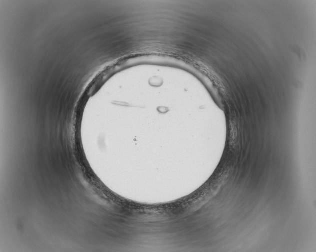 X0000110670580200907241024