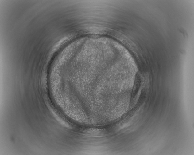 X0000110670581200907241024
