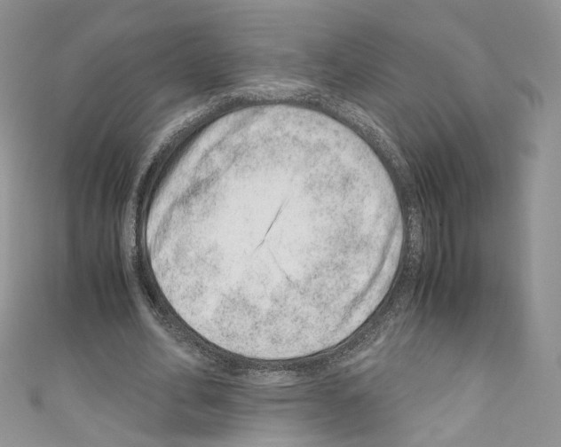 X0000110670582200907241024