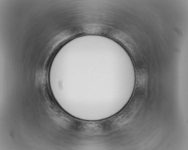 X0000110670583200907241024