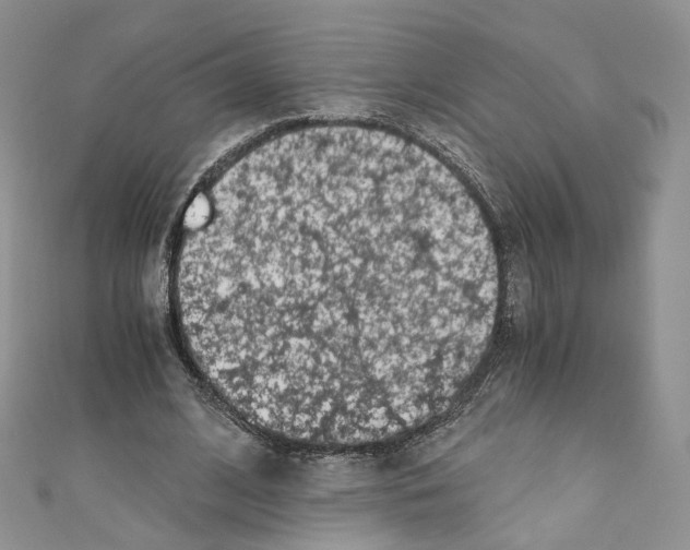 X0000110670584200907241024