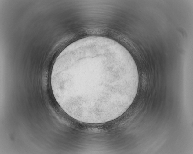 X0000110670586200907241024