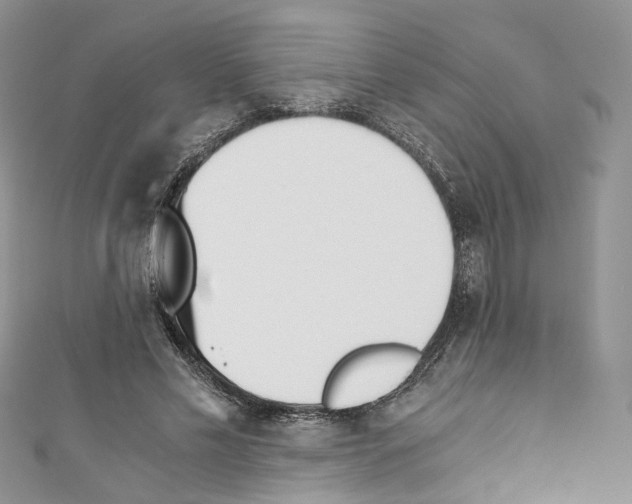 X0000110670589200907241024