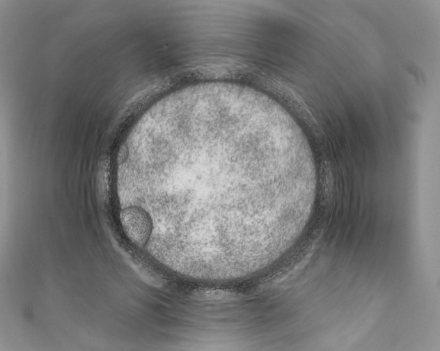X0000110670590200907241024
