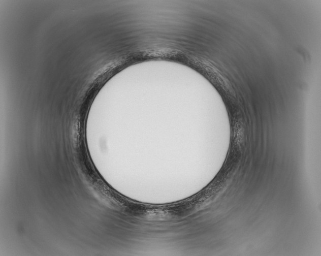 X0000110670591200907241024