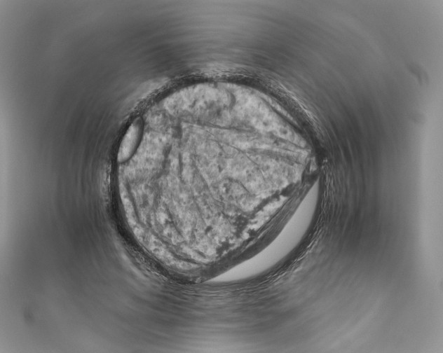 X0000110670592200907241024