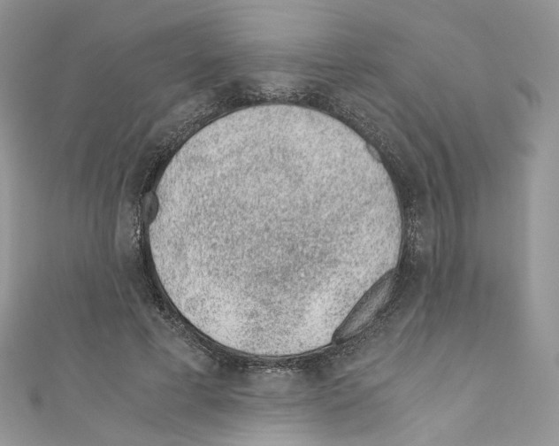 X0000110670593200907241024