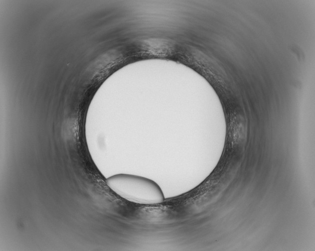 X0000110670595200907241024