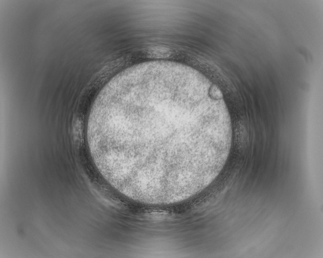 X0000110670598200907241024