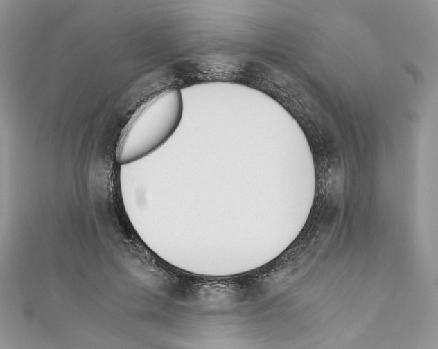 X0000110670599200907241024