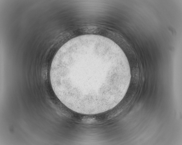 X0000110670602200907241024