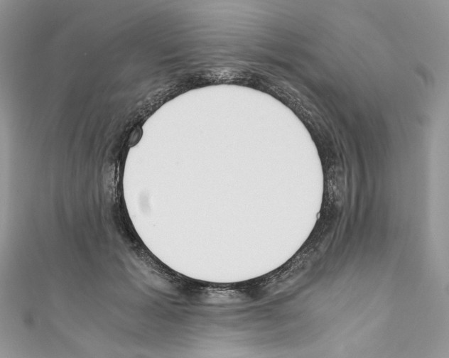 X0000110670605200907241024