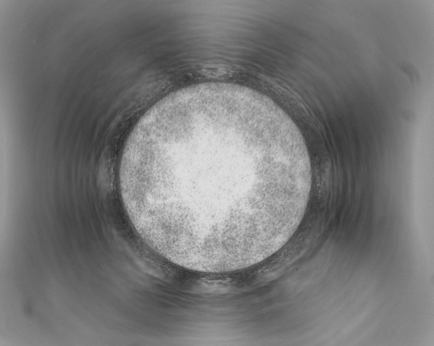 X0000110670606200907241024