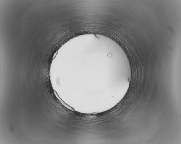 X0000110670609200907241024
