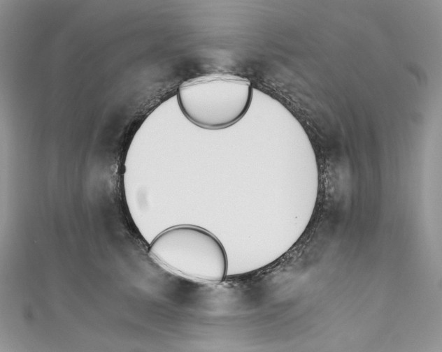 X0000110670611200907241024