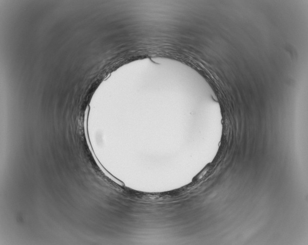 X0000110670613200907241024