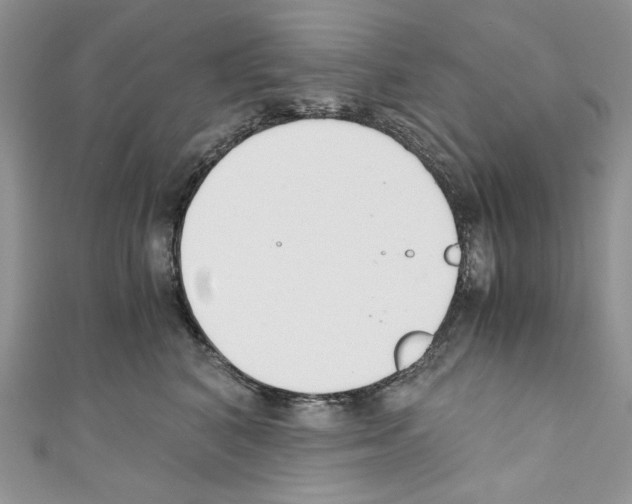 X0000110670616200907241024