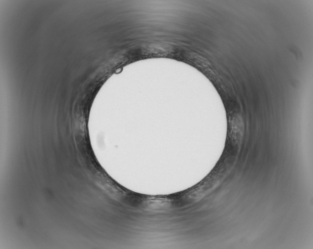 X0000110670617200907241024