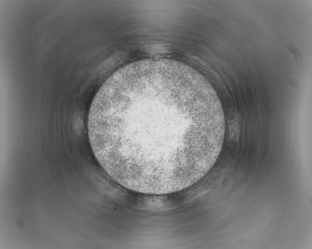 X0000110670618200907241024