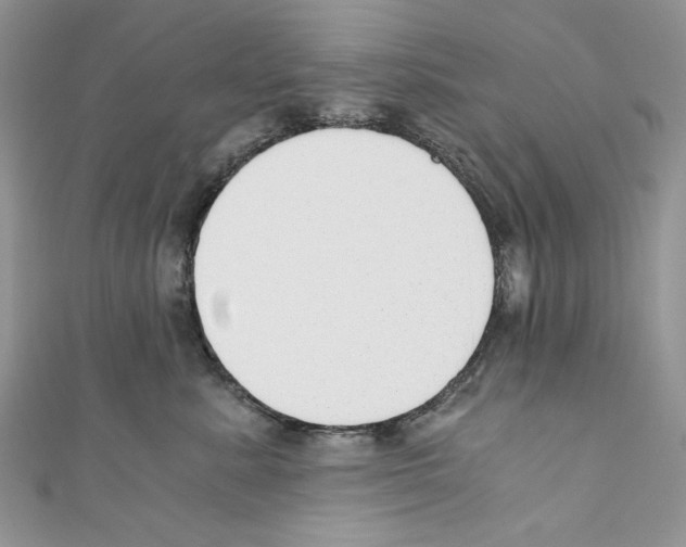 X0000110670619200907241024