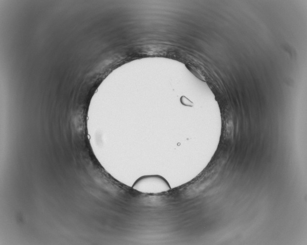 X0000110670620200907241024