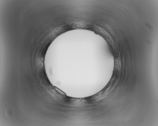 X0000110670621200907241024