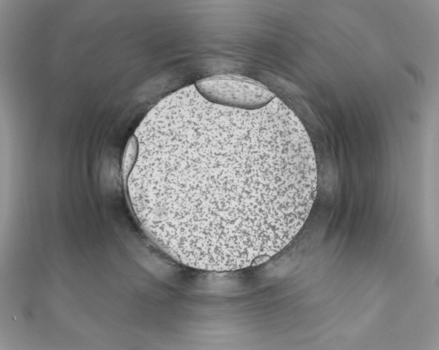 X0000110670622200907241024