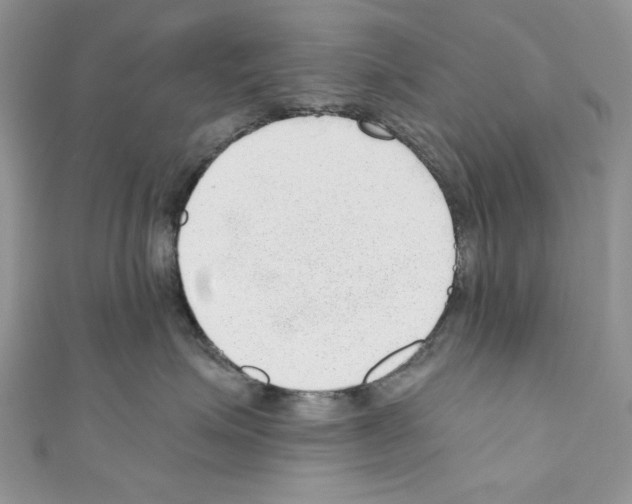X0000110670623200907241024