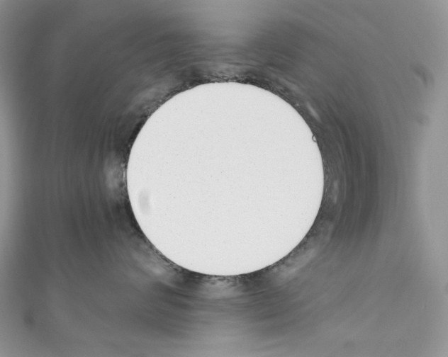 X0000110670624200907241023