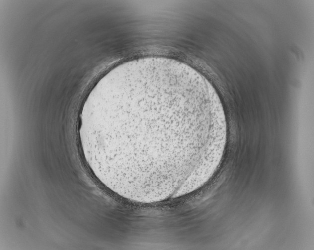 X0000110670625200907241023