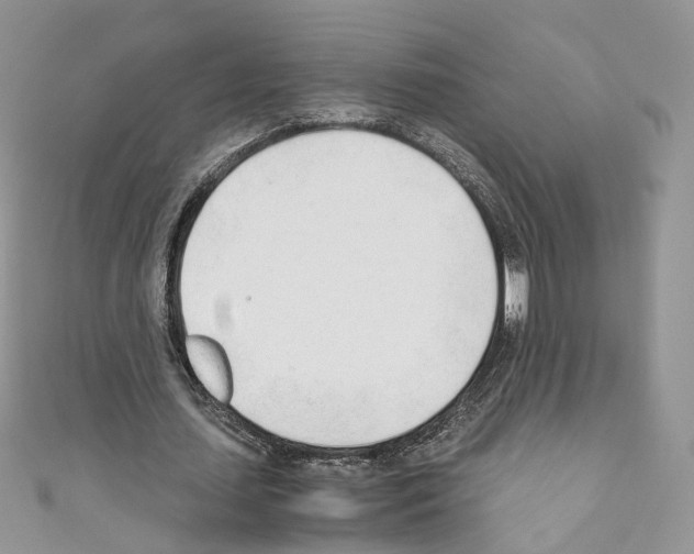 X0000110670627200907241023