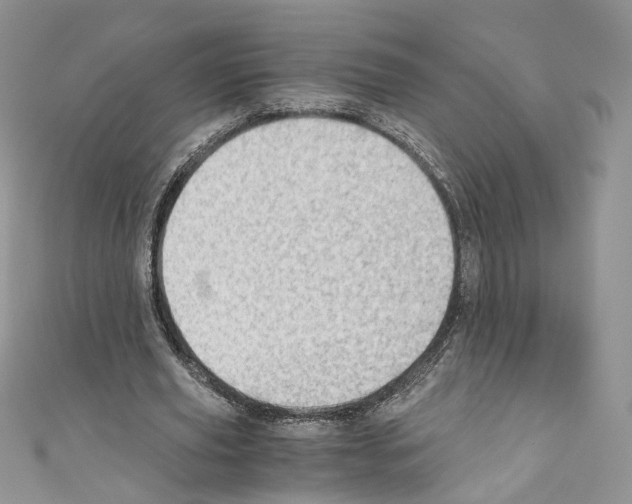 X0000110670629200907241023