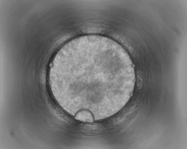 X0000110670631200907241023