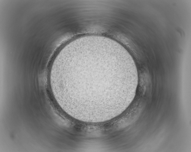 X0000110670632200907241023