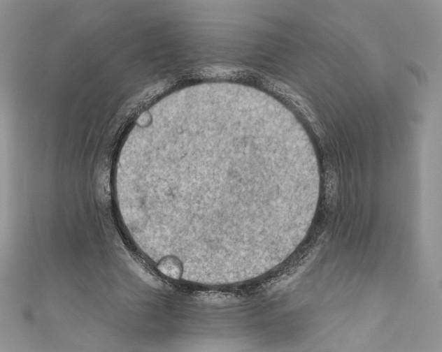 X0000110670633200907241023