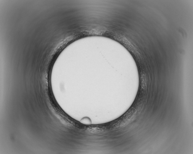 X0000110670634200907241023