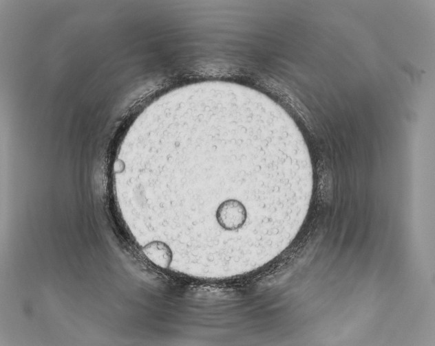 X0000110670635200907241023