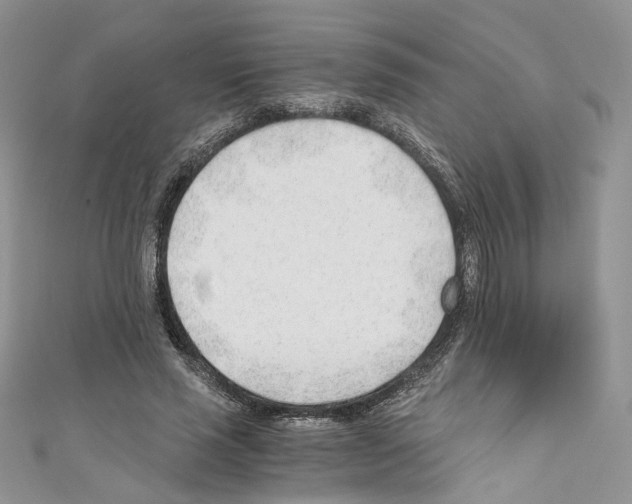 X0000110670637200907241023