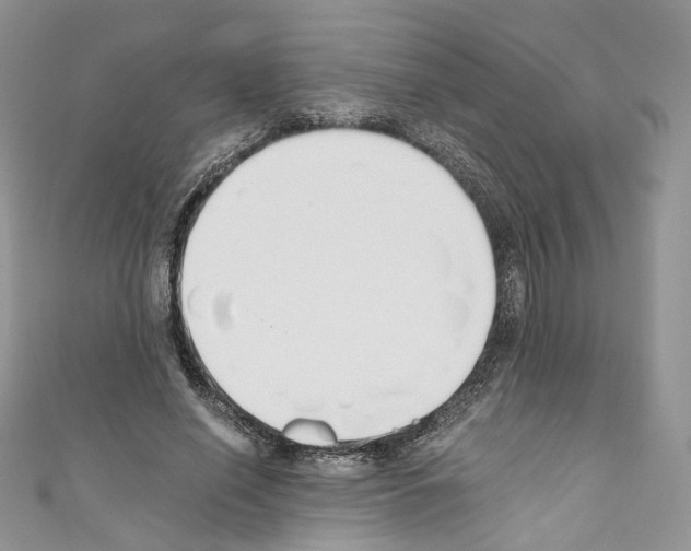 X0000110670638200907241023