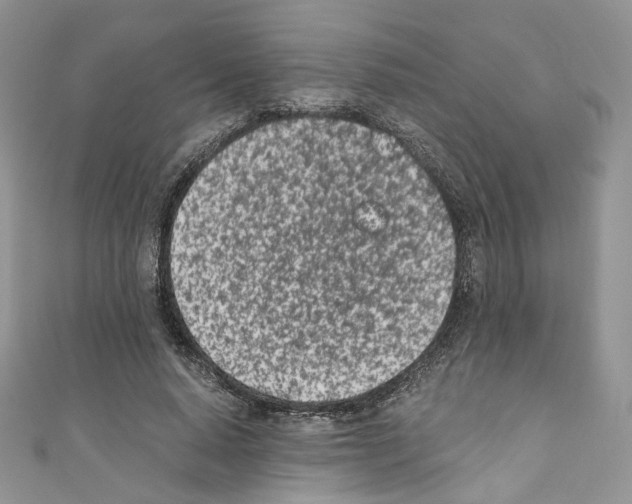 X0000110670640200907241023