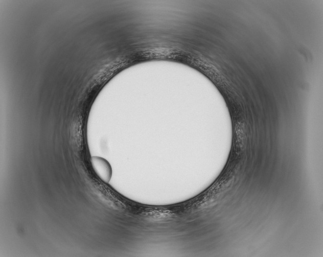 X0000110670642200907241023