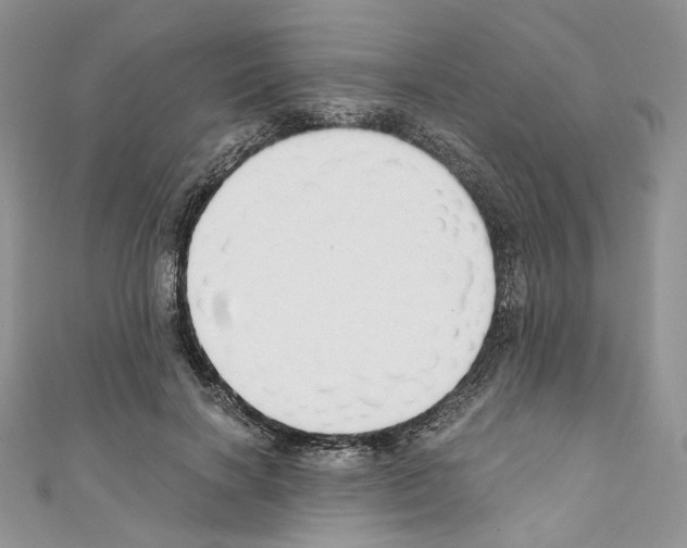 X0000110670646200907241023