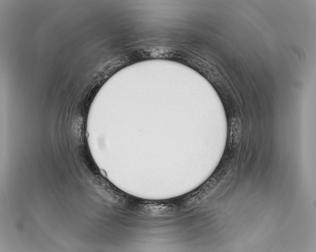 X0000110670650200907241023