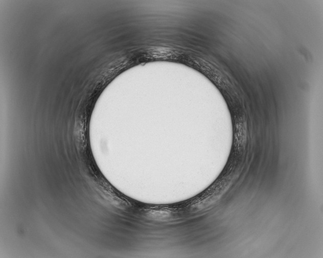 X0000110670653200907241023