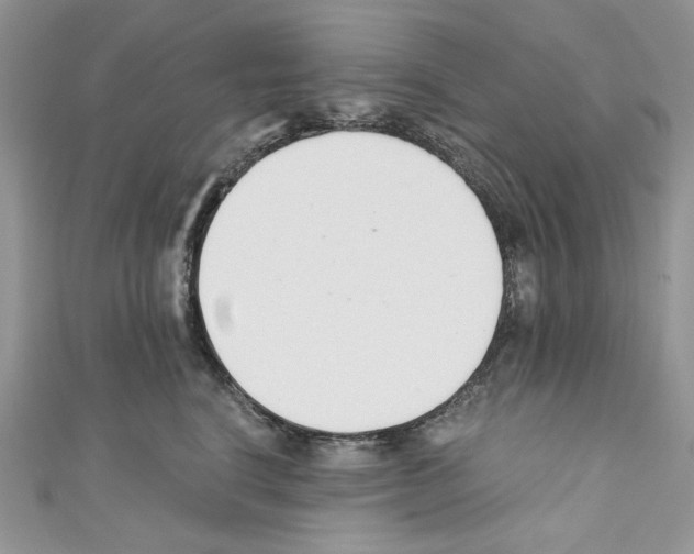X0000110670664200907241023