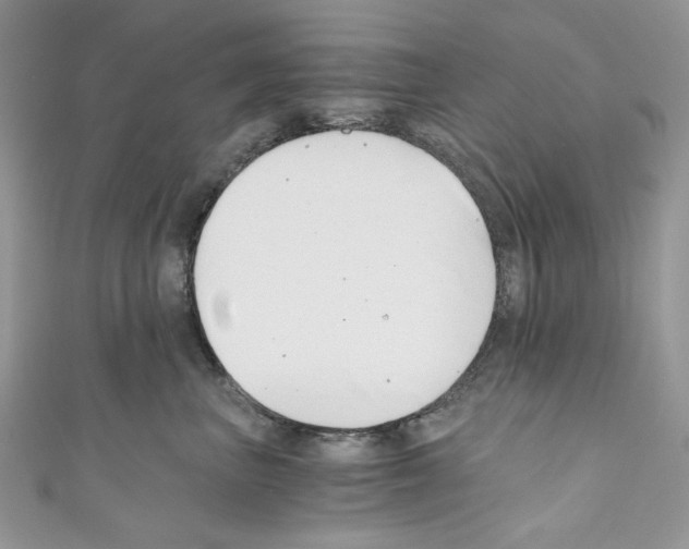 X0000110670667200907241023