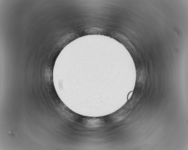 X0000110670669200907241023