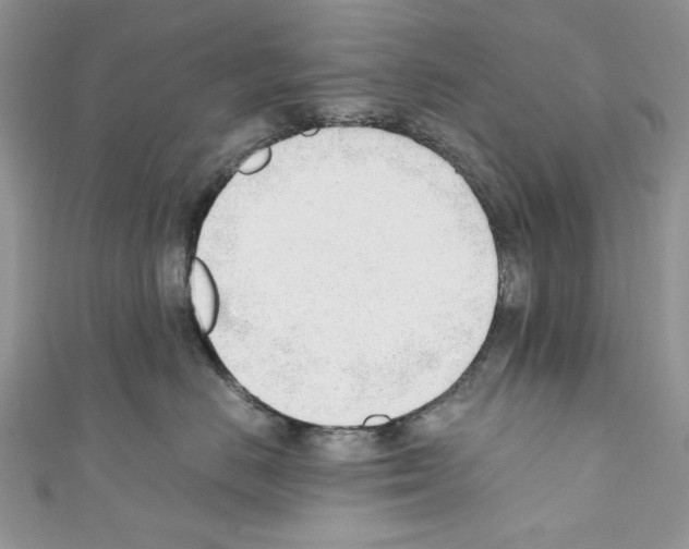 X0000110670670200907241023