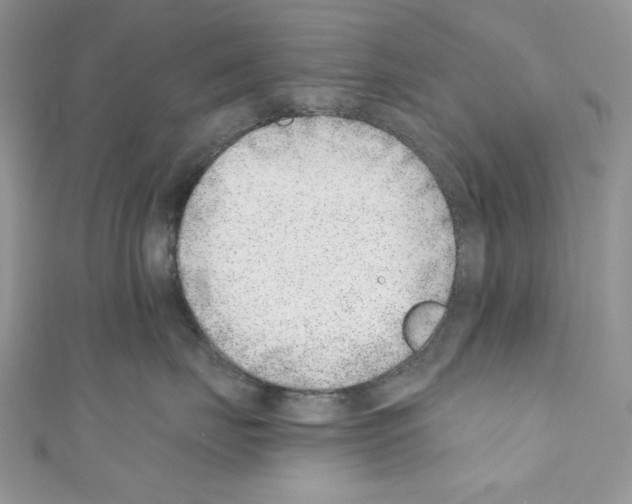 X0000110670671200907241023