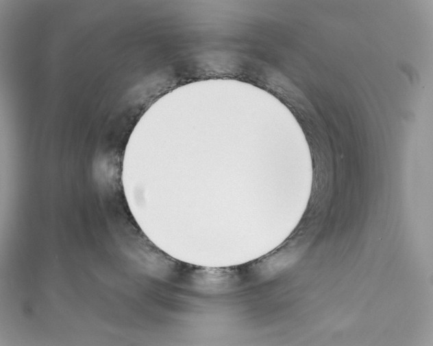 X0000110670672200907241023